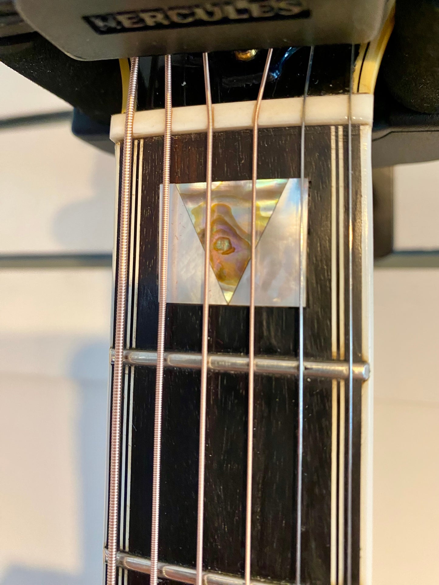 1976 Guild D55 Acoustic Guitar w/Piezo Pick-Up and Case