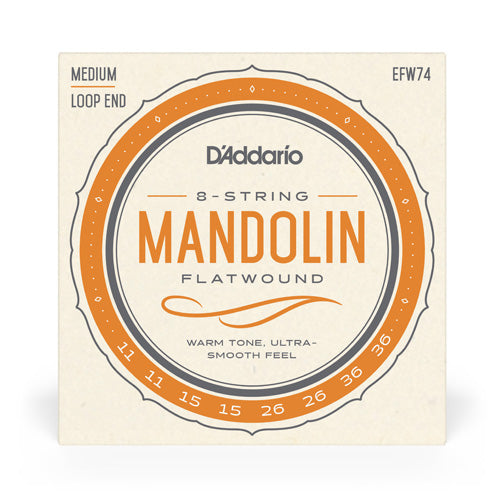 D'Addario EFW74 Flatwound Mandolin Strings - Medium