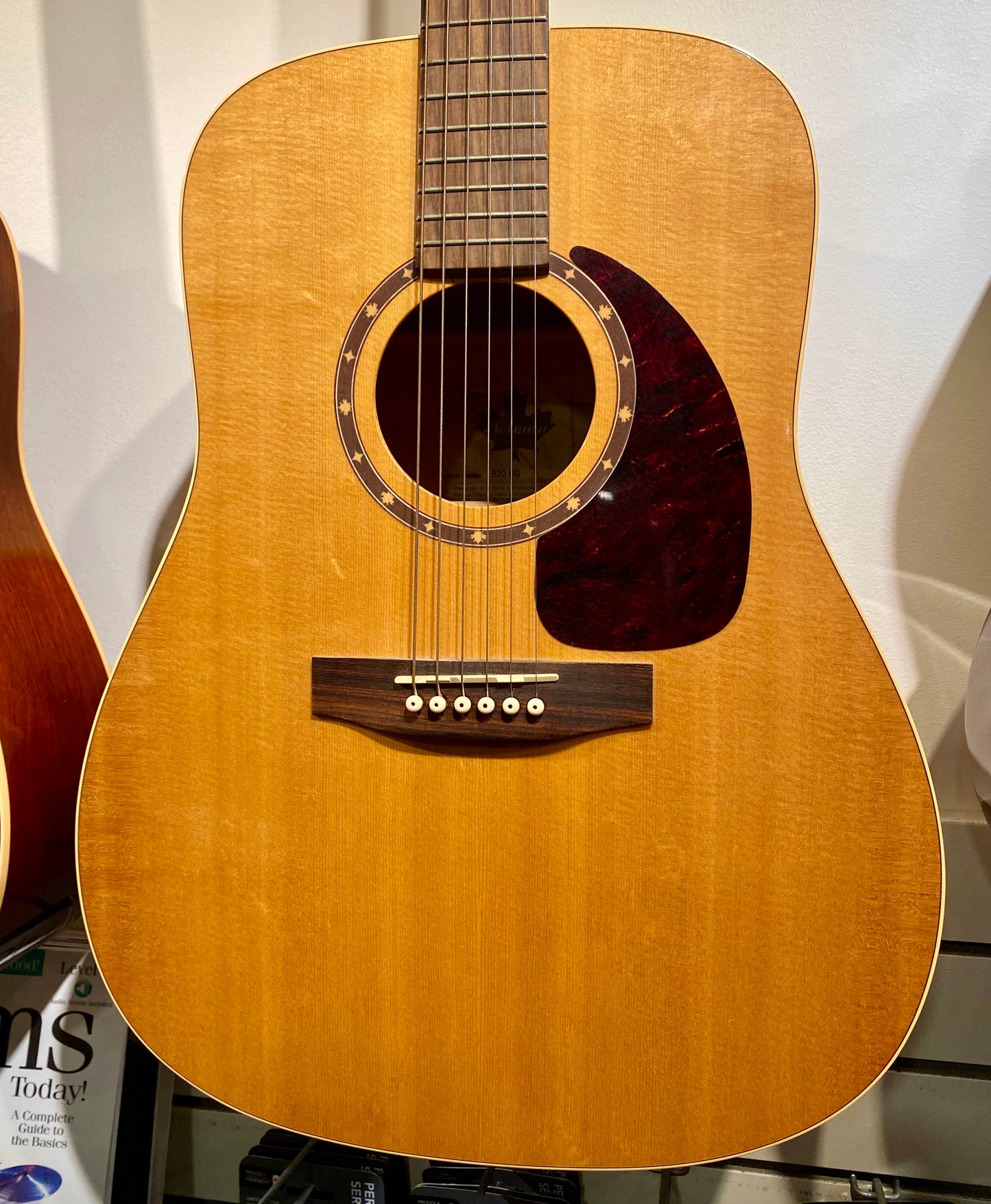 NORMAN B20 HG High Gloss 6 String Acoustic Guitar w/Tric Case - Used