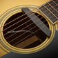 Fishman Rare Earth Mic Blend Acoustic Pickup