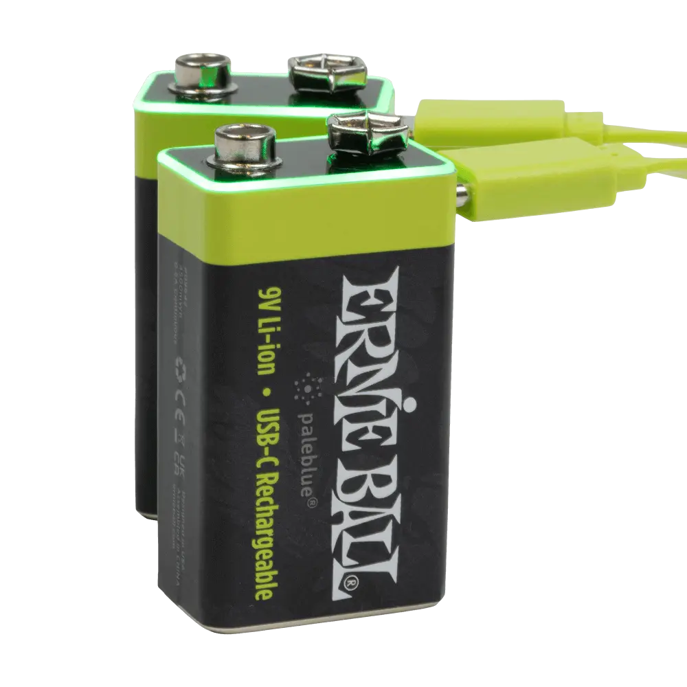 Ernie Ball USB-C Rechargeable 9v Battery by Paleblue (2 Pack)