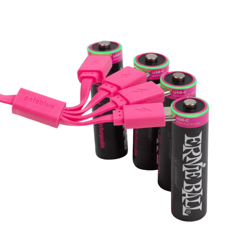 Ernie Ball USB-C Rechargeable AA Battery by Paleblue (4 Pack)