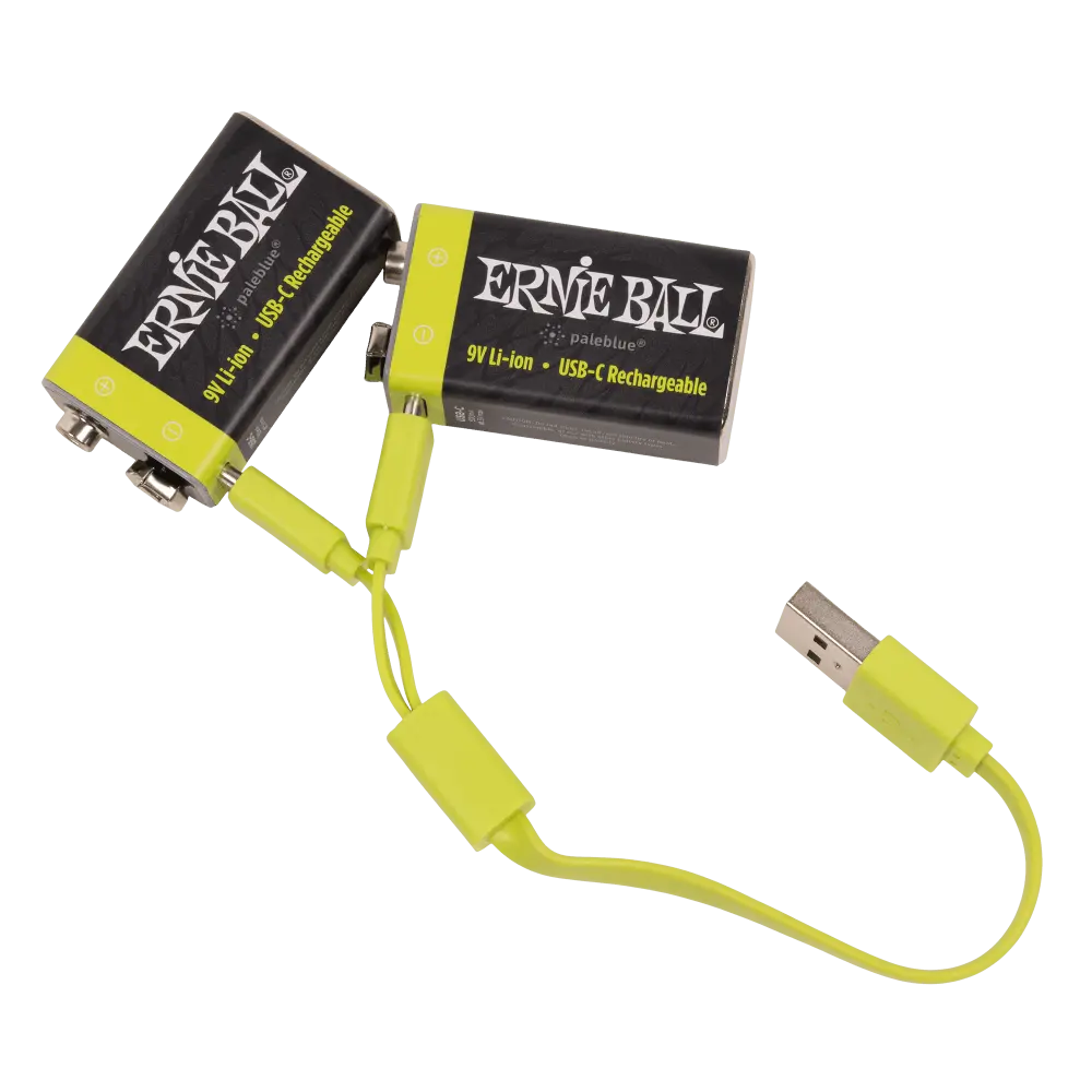 Ernie Ball USB-C Rechargeable 9v Battery by Paleblue (2 Pack)