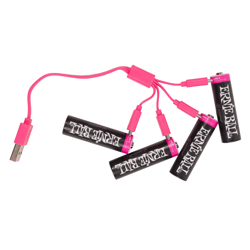 Ernie Ball USB-C Rechargeable AA Battery by Paleblue (4 Pack)