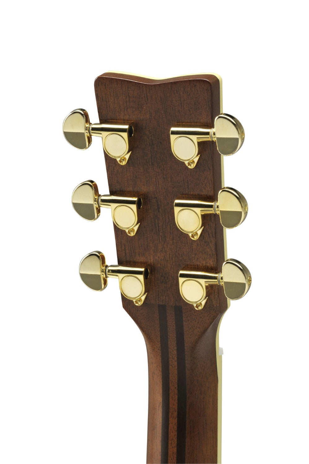 Yamaha LS6M ARE Folk Ac/Elec Guitar & Pro Gig Bag